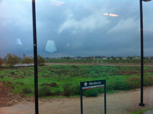 modesto.jpeg