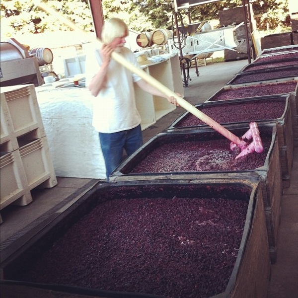 Making wine