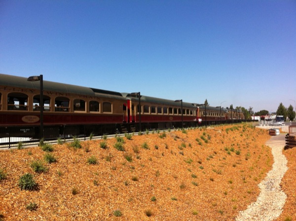 Napa train