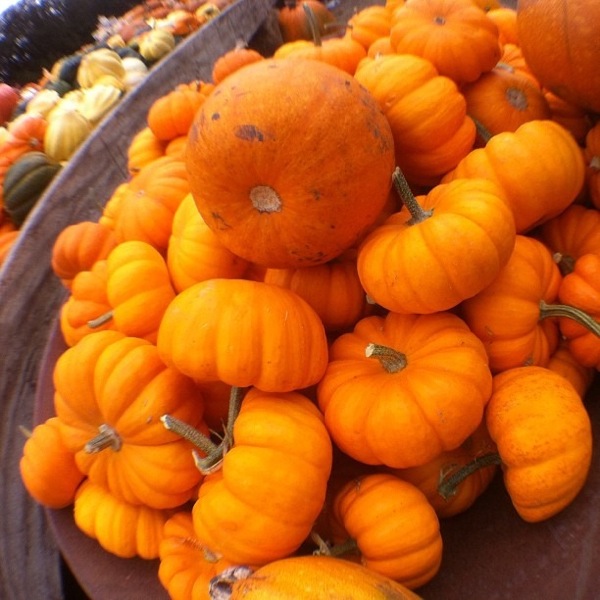 Pumpkins