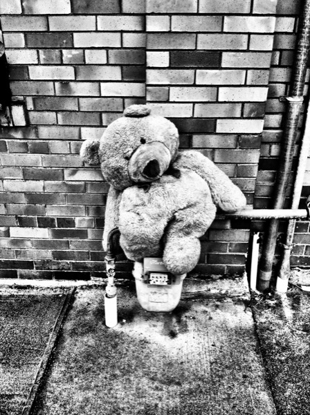 Teddy bear