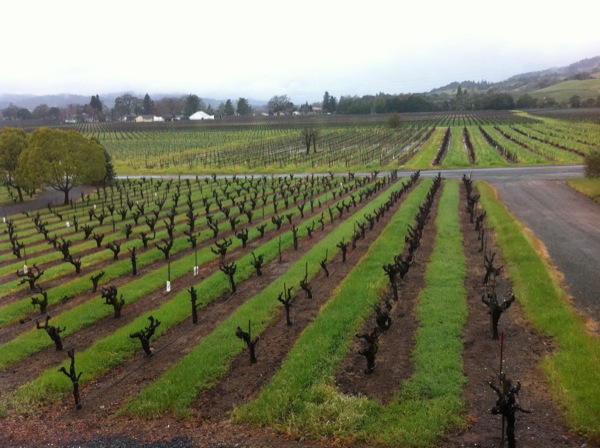 Wine march 1