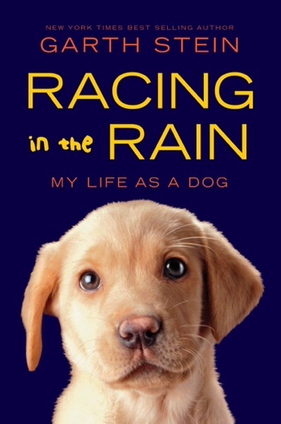 the art of racing the rain book